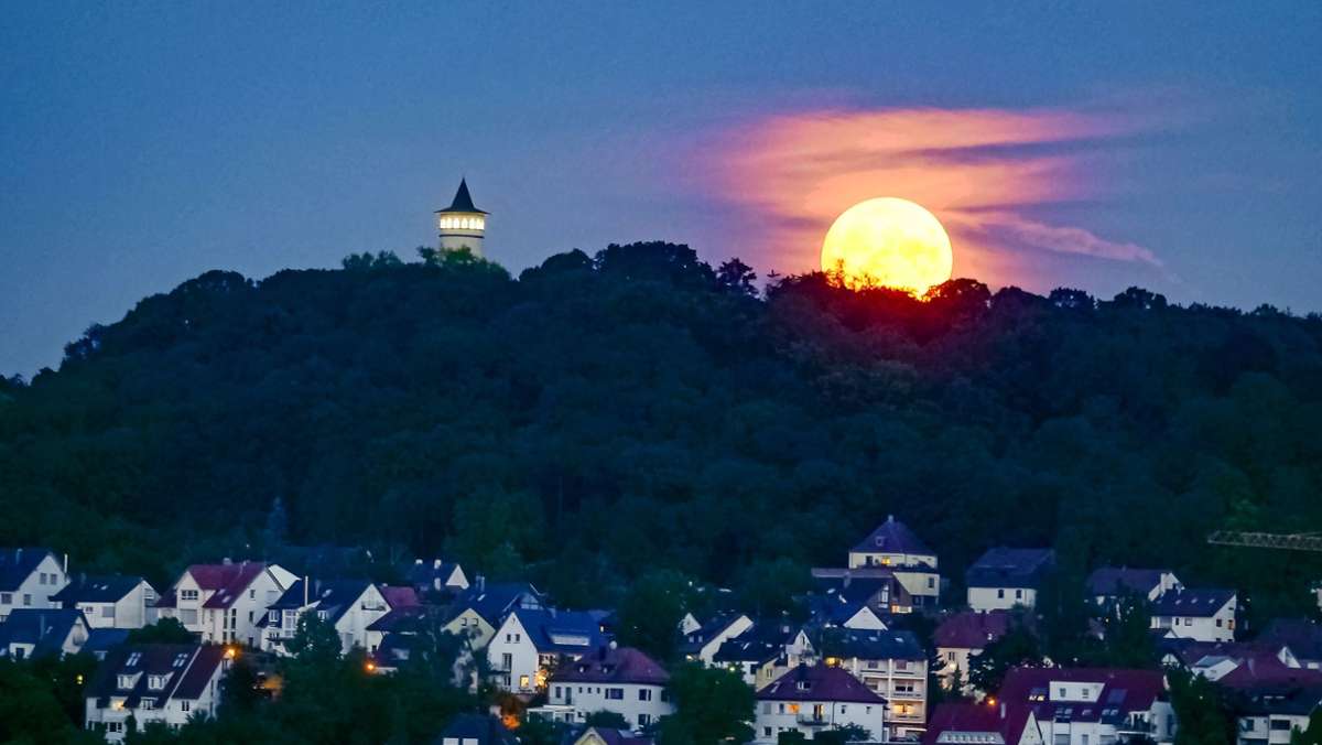 Leonberger Wahrzeichen: Der „Endelberg“ und sein Turm