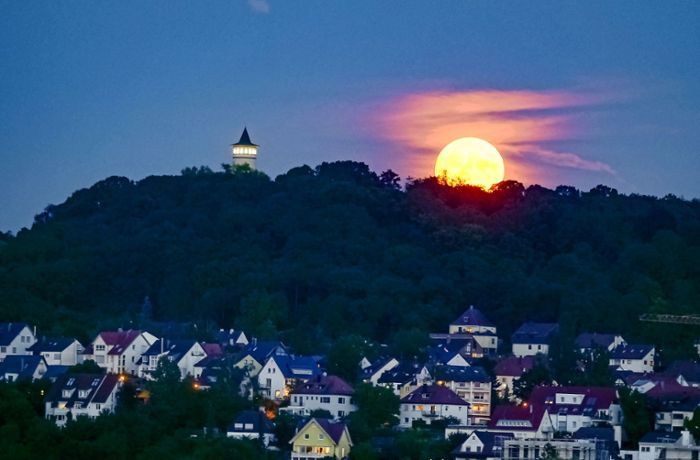 Leonberger Wahrzeichen: Der „Endelberg“ und sein Turm