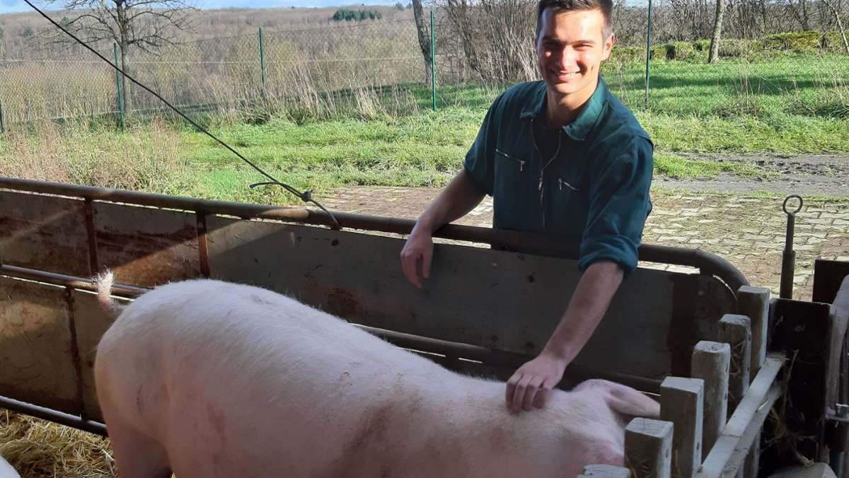 Jungbauer aus Hohenlohe: Lust auf jede  Menge Schweine