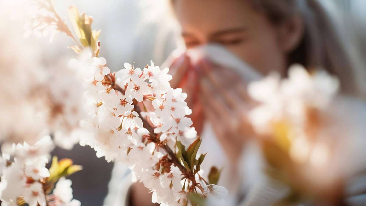 Ist die Pollensaison 2023 besonders schlimm?