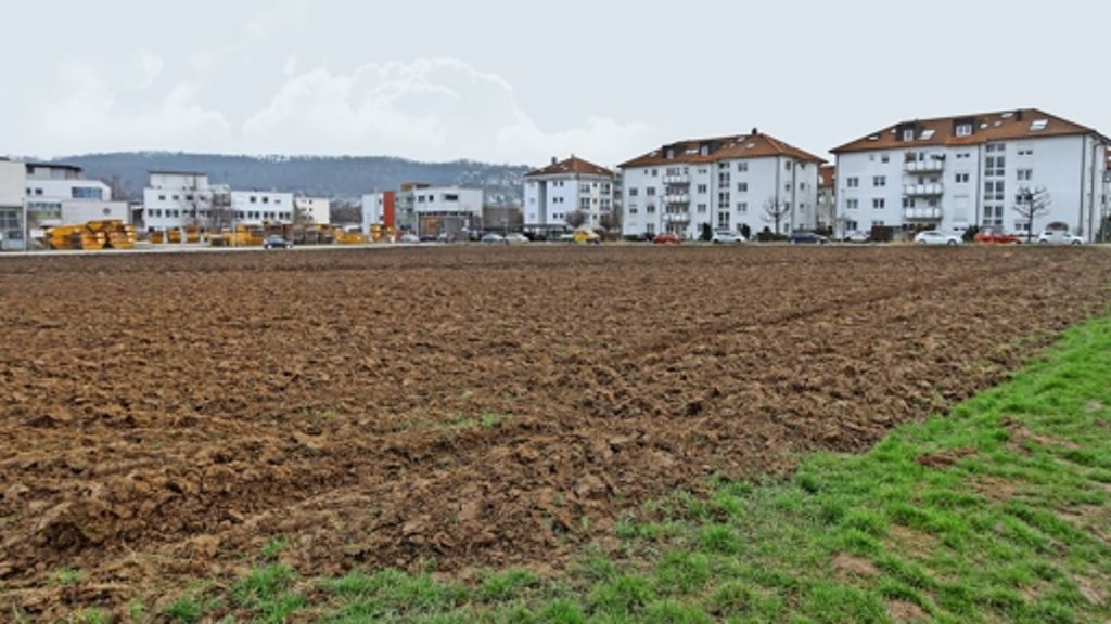 Stadtplanung in Gerlingen: Baugebiet Bruhweg rückt näher