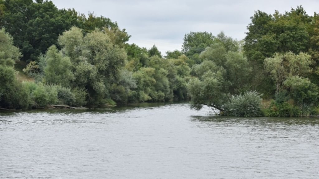 Kontaminiertes Düngemittel im Fluss: Erneutes Fischsterben  in Jagst befürchtet