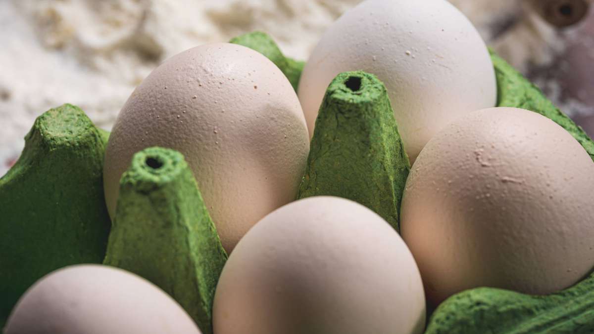 Lebensmittelhersteller Berghof Glatt: Eier-Rückruf wegen Salmonellen