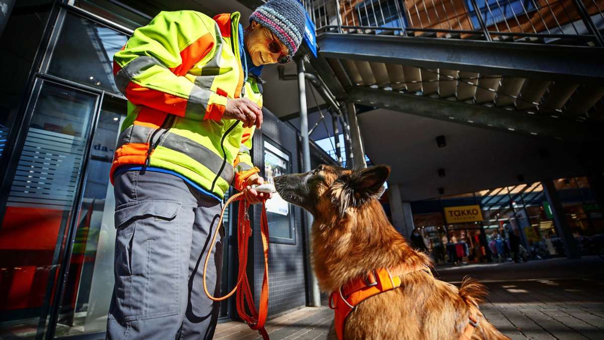 Nachbarschaftshilfe mit Hund in Schorndorf: Kleine Probe mit großer Wirkung
