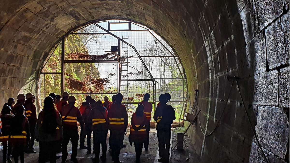 Hermann-Hesse-Bahn: Eine Fledermauskammer für den Hirsauer Tunnel