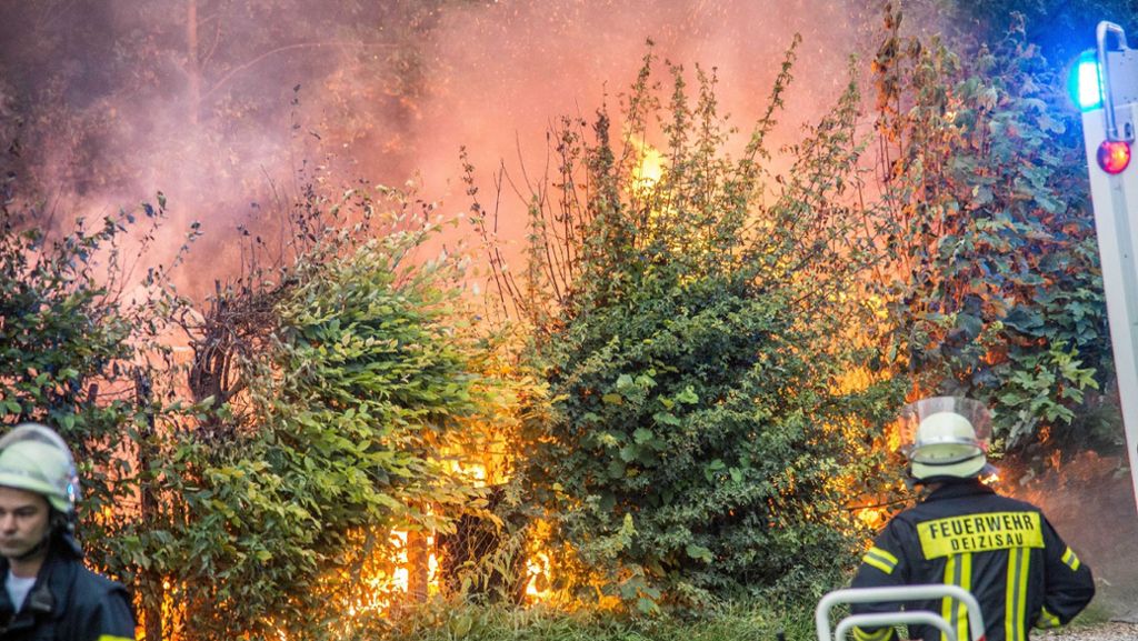 Plochingen im Kreis Esslingen: Meterhohe Flammen – Kleintierzuchtverein brennt