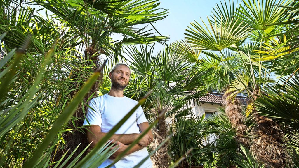 Ebersbach: Ein Händchen für Palmen