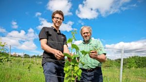 Winzer Paul Clauss setzt auf nachhaltigen Anbau: Bio-Wein von der Domäne Weil in Ostfildern