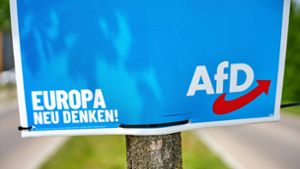 Kommunalwahl im Kreis Böblingen: Das dürre Gerippe der AfD im Kreis
