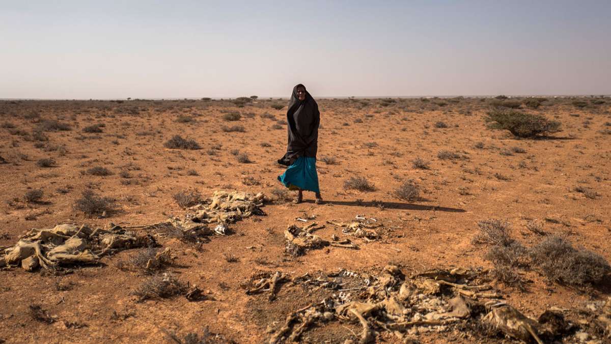 Lebensmittelkrise in Somalia: UN warnen vor Hunderttausenden Hungertoten
