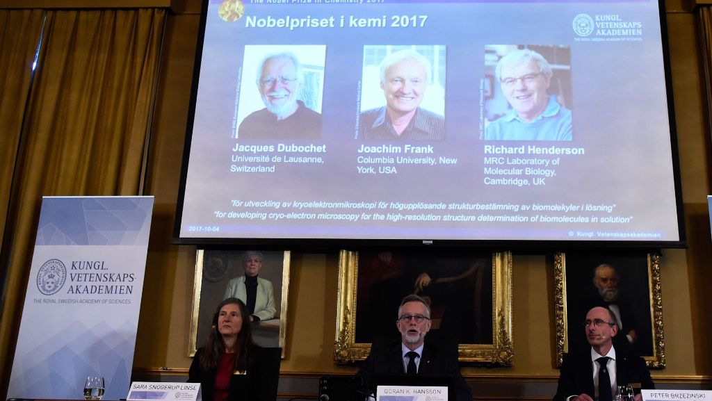 Stockholm: Chemie-Nobelpreis für Kryo-Elektronenmikroskopie verliehen