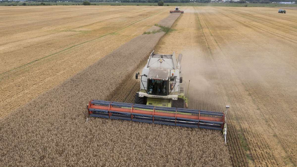 Ukrainisches Getreide: EU-Kommission beendet Handelsbeschränkungen