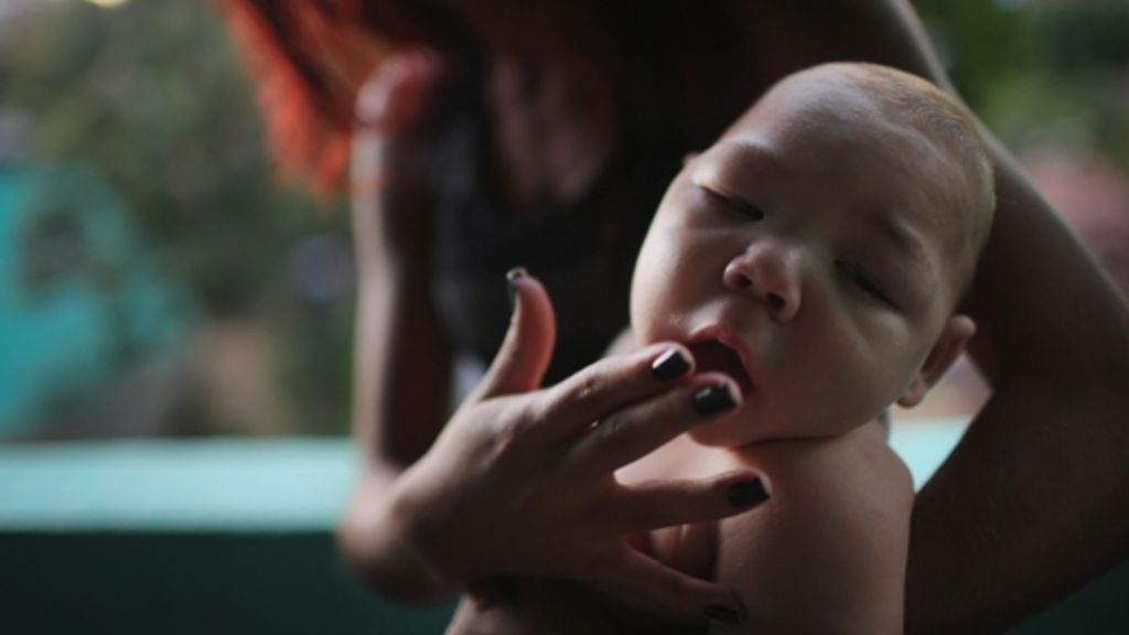 Brasilien: 220.000 Soldaten sollen Zika-Mücke bekämpfen