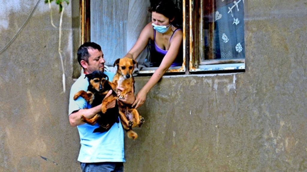 Nach der Flut in Serbien: Hilfe  für traumatisierte Tiere