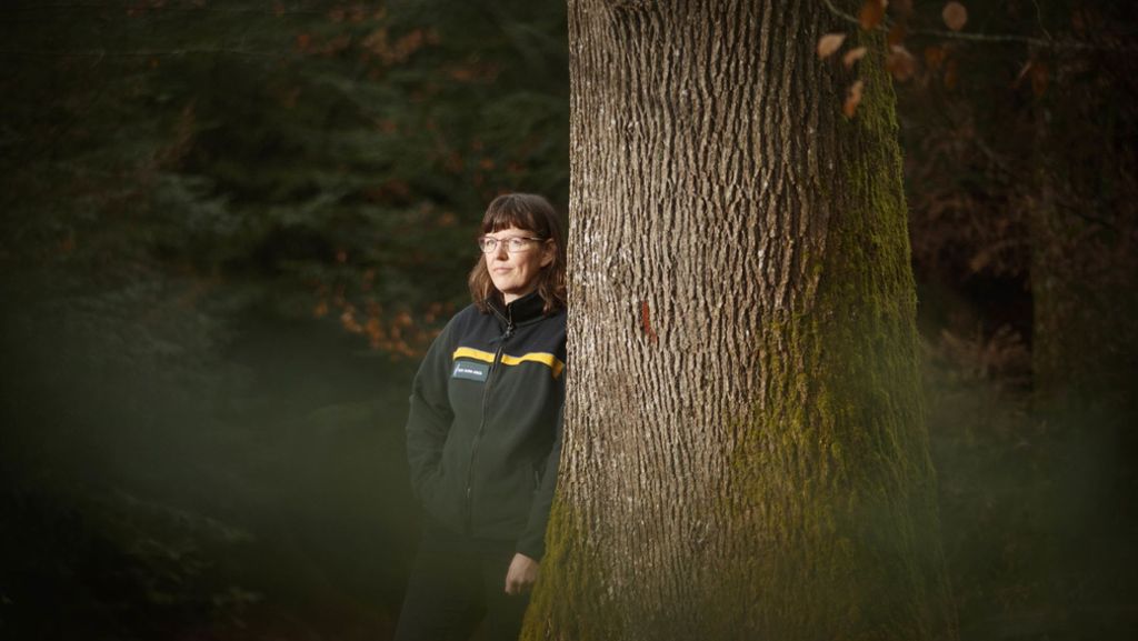Neue Leiterin im Forstamt Backnang: Der Forst  wird weiblicher