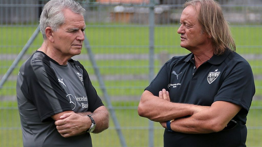 VfB-Aufsichtsrat Martin Schäfer: „Die  Gremien dürfen nicht im eigenen Saft schmoren“