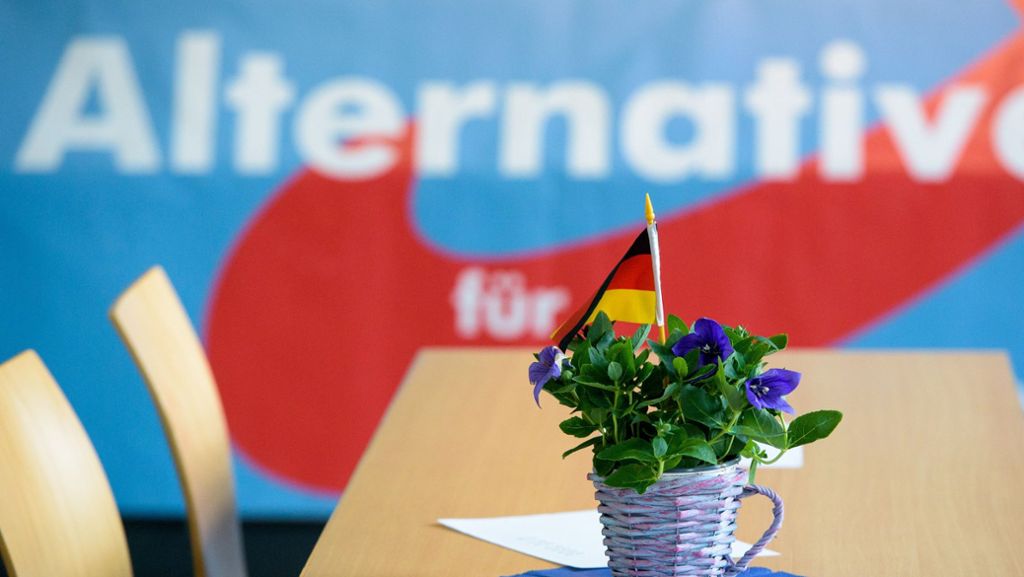 Landtag von Baden-Württemberg: AfD muss Kritik einstecken