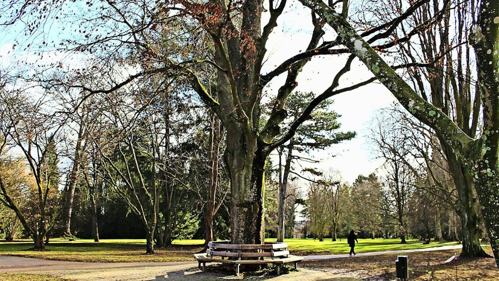 Exotischer Garten Hohenheim: Nächtlicher Radau im Park stresst Anwohner