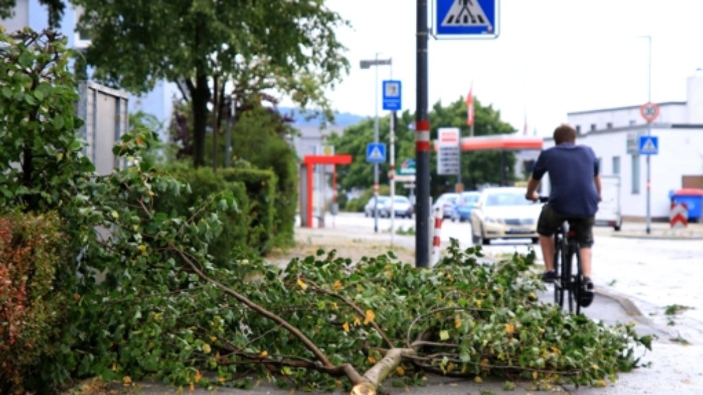 Orkanartige Böen in Stuttgart: Sturmtief lässt Bäume fallen