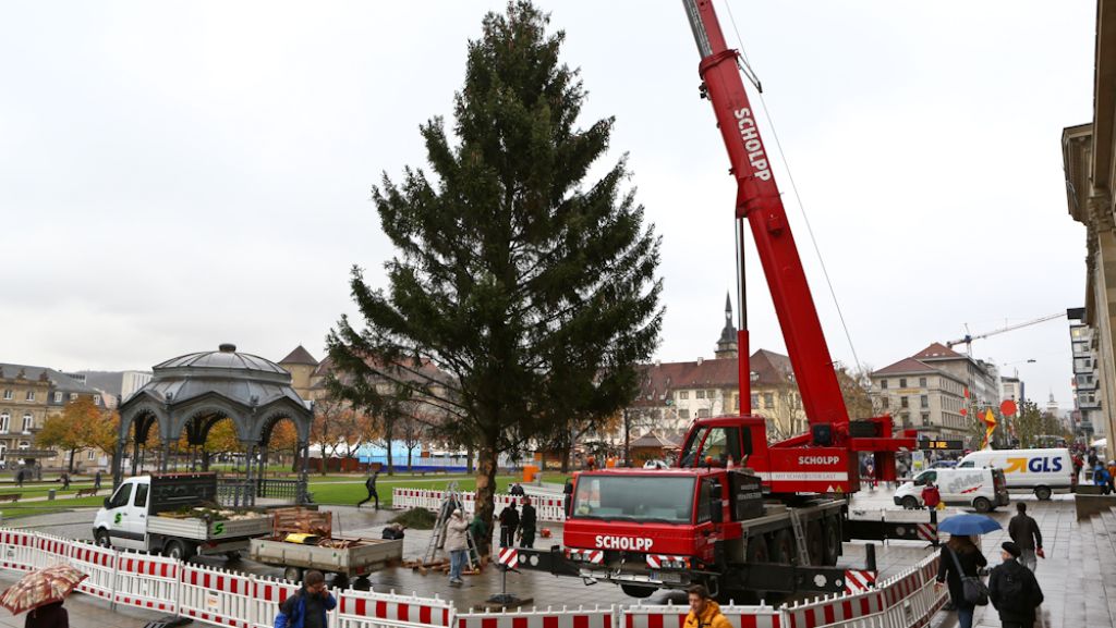 Stuttgarter Weihnachtsmarkt: Der Weihnachtsbaum am Schlossplatz steht
