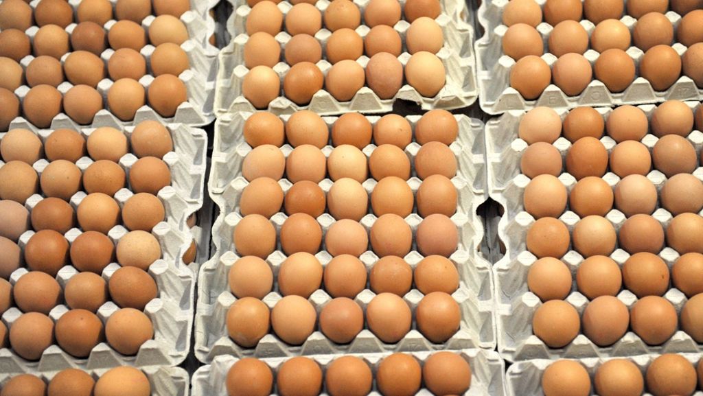 Eier-Skandal: Aldi verkauft vorerst keine Eier mehr