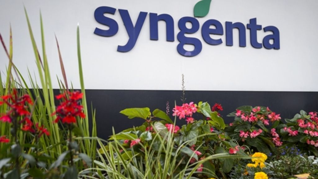 Saatguthersteller: In USA formiert sich Widerstand gegen Monsanto-Syngenta-Fusion