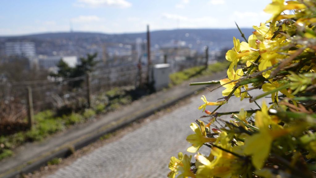 Frühling in Stuttgart: Der Kessel blüht auf
