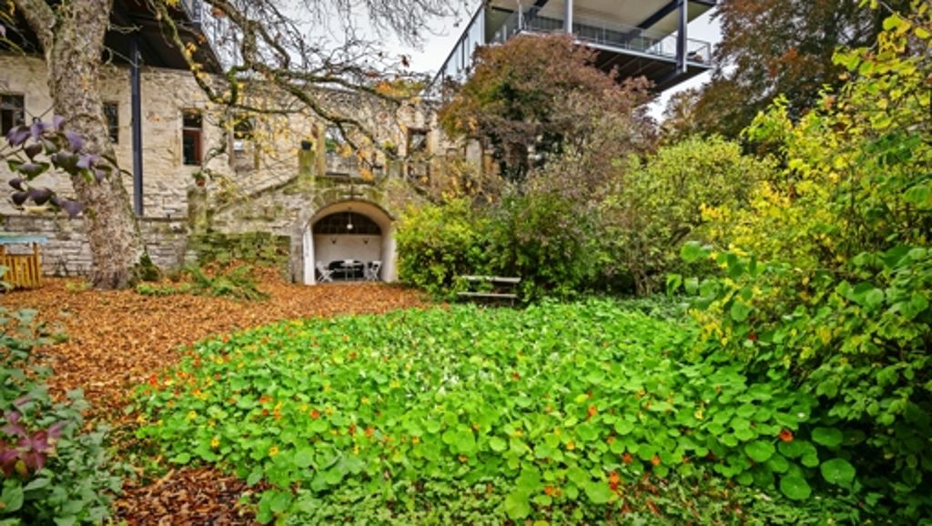 Ehningen: Gartenglück im Schatten einer Schlossruine
