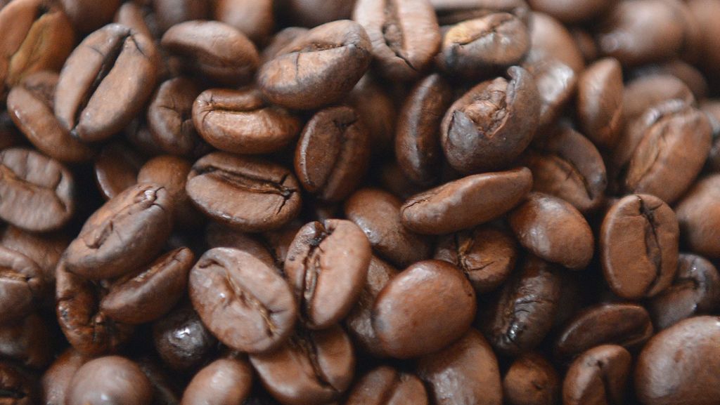 Kapsel oder Kaffeemaschine: Welcher Kaffee-Typ sind Sie?