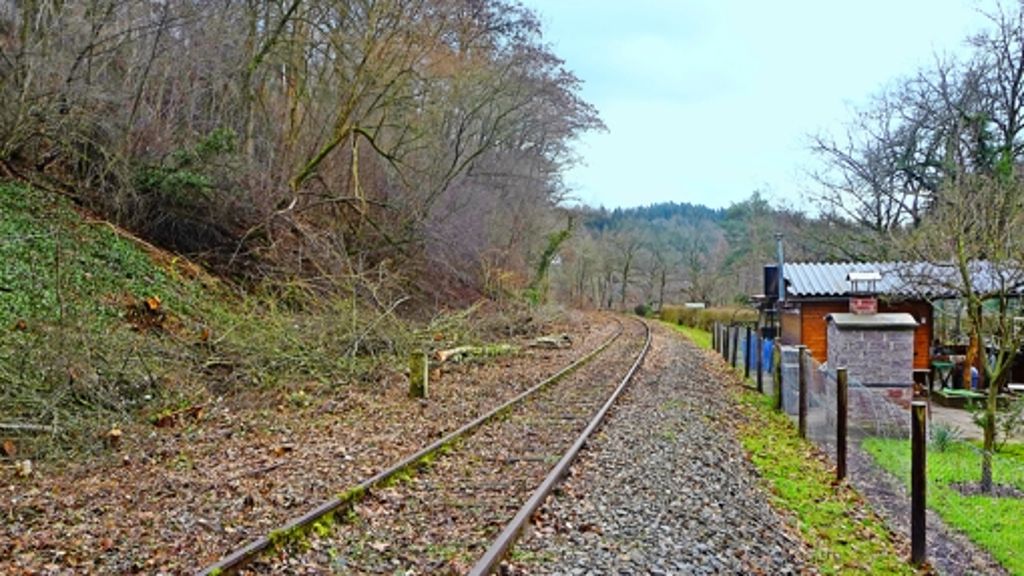 Infrastruktur im Südwesten: Minister möchte  die Hesse-Bahn fördern
