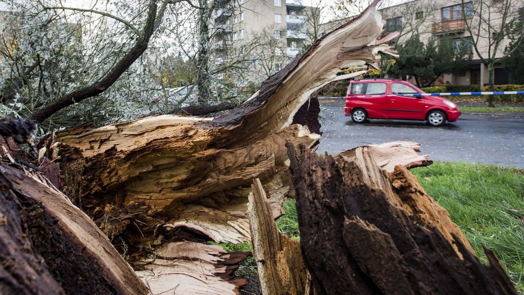 Herbststurm bringt Tod und Trümmer: Sturm „Herwart“ rast durch Europa