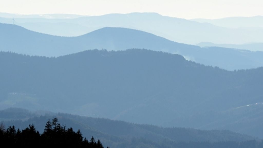Nationalpark Schwarzwald: Verirrter Wanderer von Bergwacht gerettet