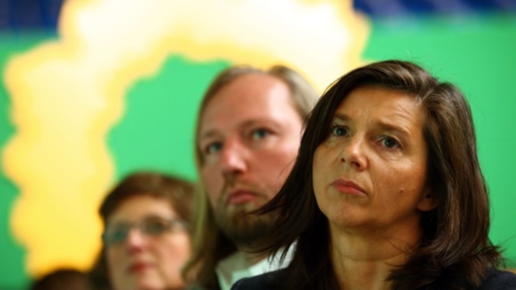 Bundesparteitag in Hamburg: Grüne zoffen sich - aber verhalten