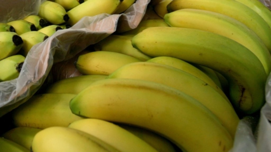 Europa-Blog: Die besten Bananen der Welt
