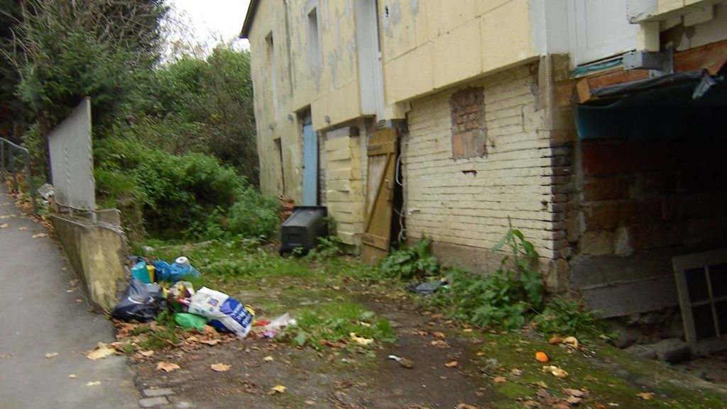 Stuttgart-Kaltental/Stuttgart-Möhringen: Anwohner ärgern sich über Müll und Altglas