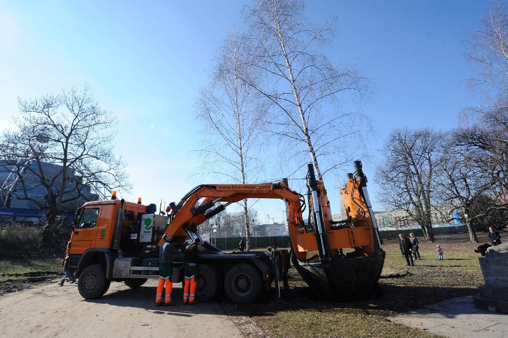 Im Mittleren Schlossgarten werden die Bäume verpflanzt, um Platz zu schaffen für die Arbeiten an S 21.