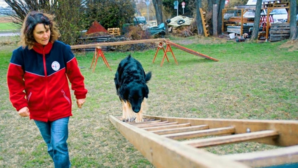 Rettungshundestaffel in Weilimdorf: Immer der Nase nach