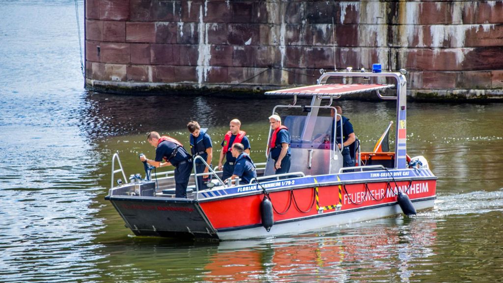 Neckar bei Ladenburg: Güterschiff prallt gegen Brücke - zwei Verletzte