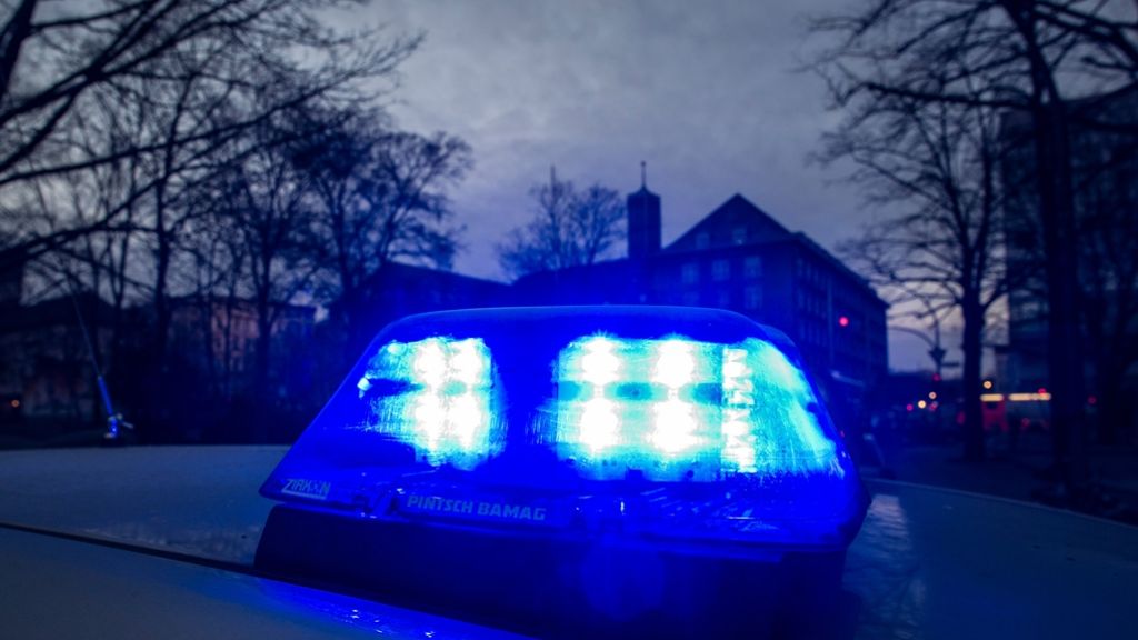 Bönnigheim: Verfolgungsjagd mit Schuss auf die Reifen
