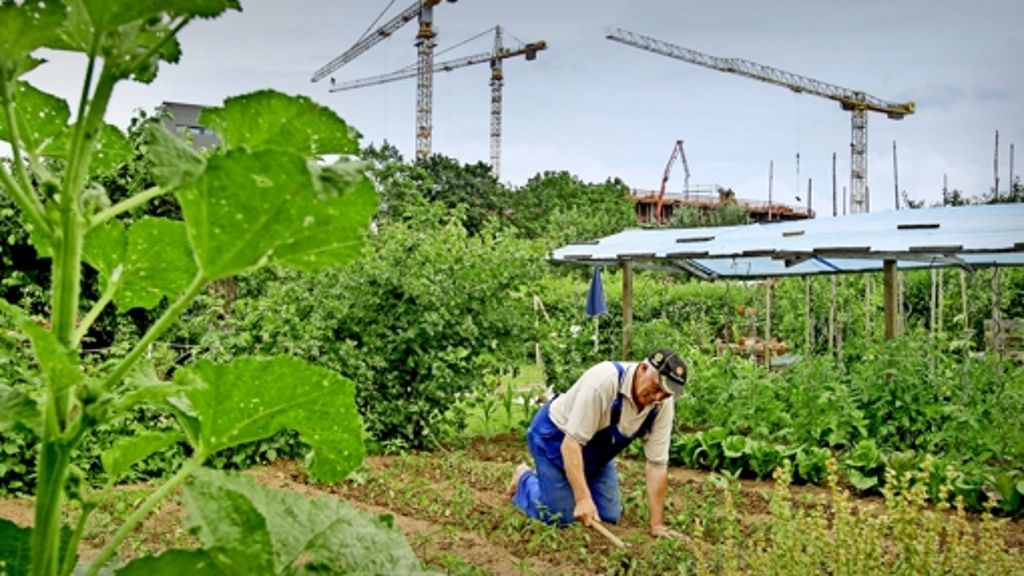 Ludwigsburg: Die  Kleingärten sollen  verpflanzt werden