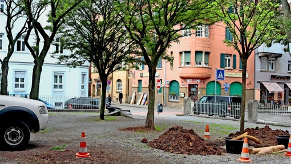 Ludwigsburg: Am Synagogenplatz fallen die Bäume