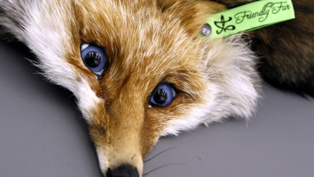 Naturschutzbund im Shitstorm: Fuchspelz wird Nabu-Chef zum Verhängnis