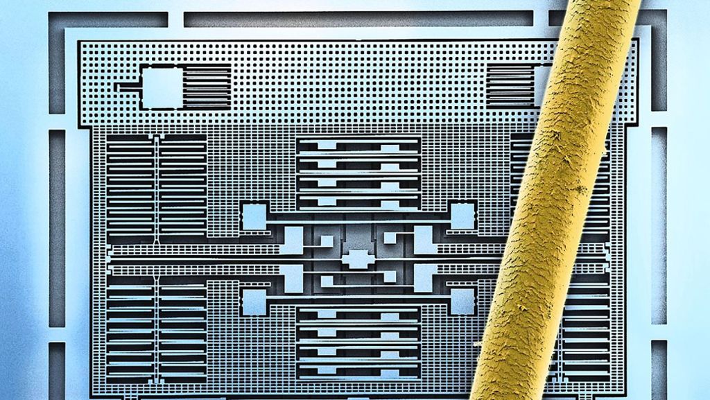 Bildung: Bosch liefert Sensor für Mini-Computer