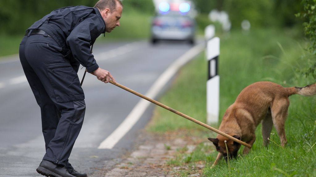 Höxter: Spürhunde suchen nach Überresten des Opfers