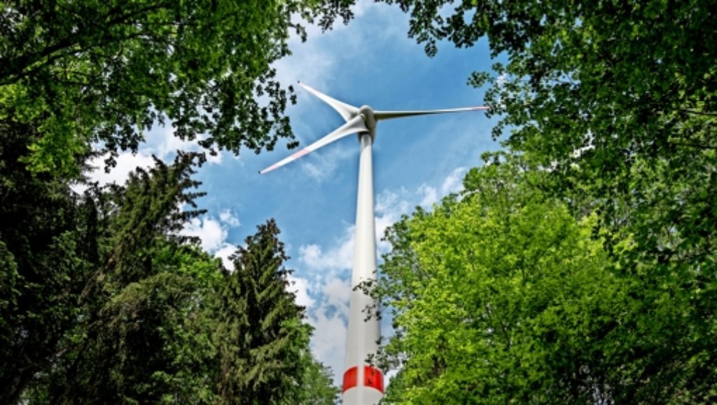 Energiewende: Kritiker: Land opfert   viel  Wald für   Windräder