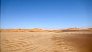Reise nach Namibia: Die Wüste lebt