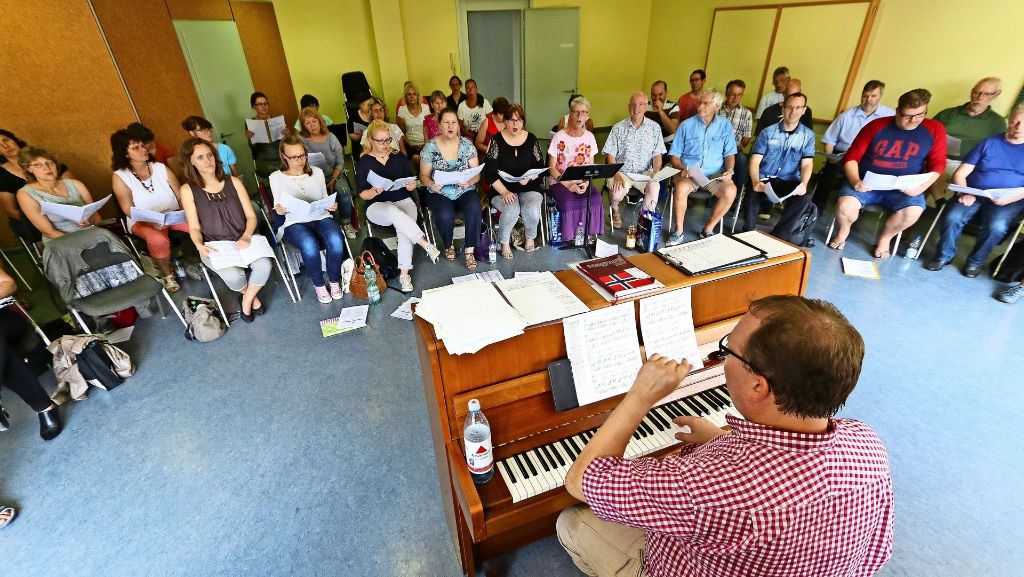 Sommerserie:  Chor Tonart in Ludwigsburg: Höhen und Tiefen im Chor