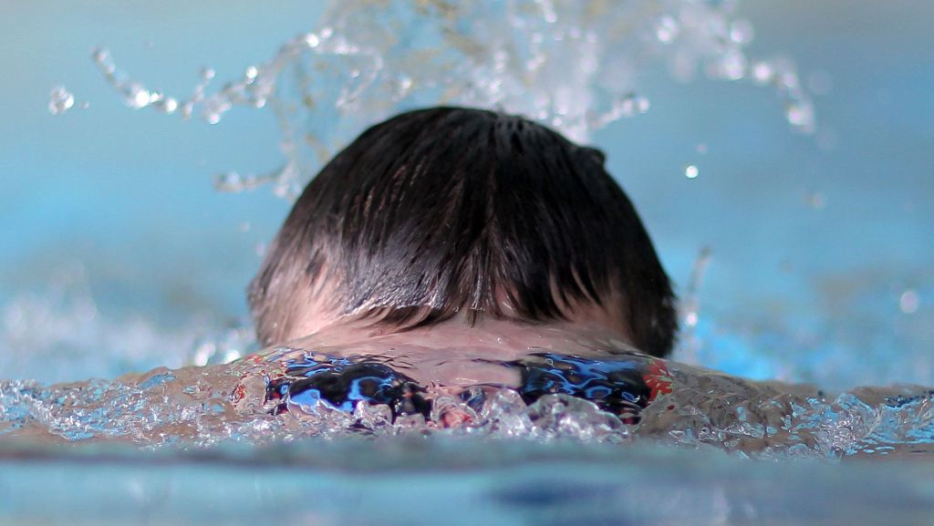 Schwimmen: Ein Leonberger holt neuen     Rekord