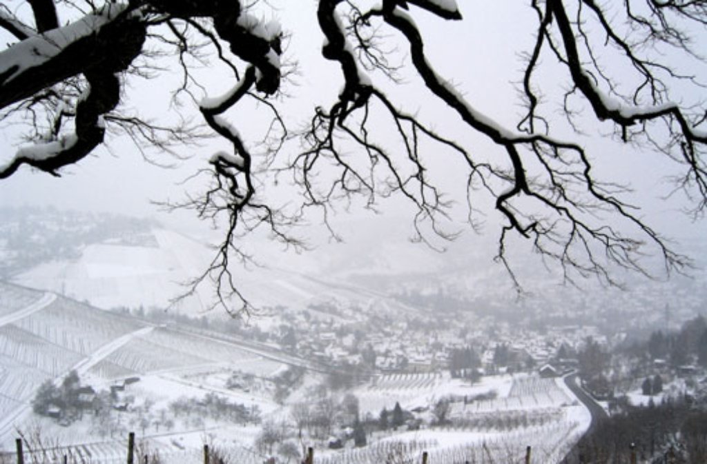Der Schnee verwandelt die Weinberge rund um Stuttgart in ein geometrisches Muster aus schwarz und weiß.