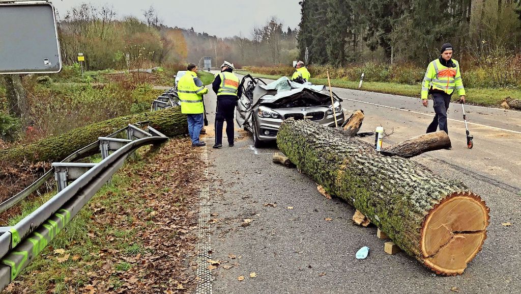 Unfall bei Sindelfingen: Baum stürzt auf Auto –   zwei Menschen sterben
